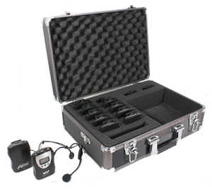 audio equipment and carry case